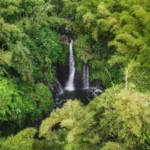 Tourist Attractions in Pemalang